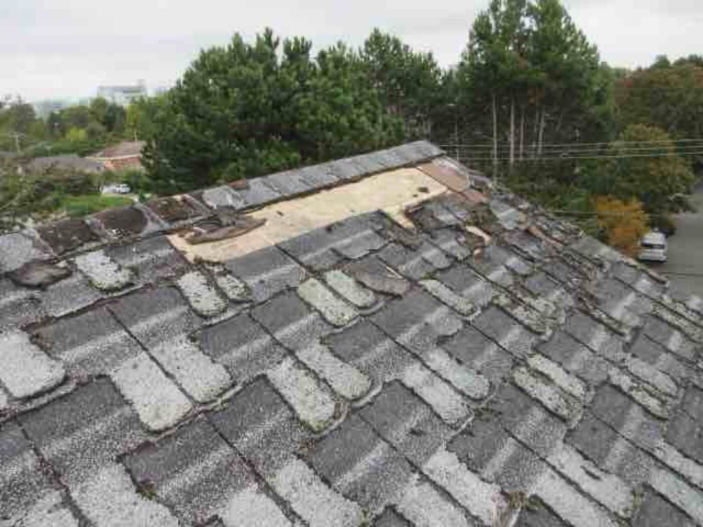 Roofing has significantly failed. Bare section of wood framing with roof protection