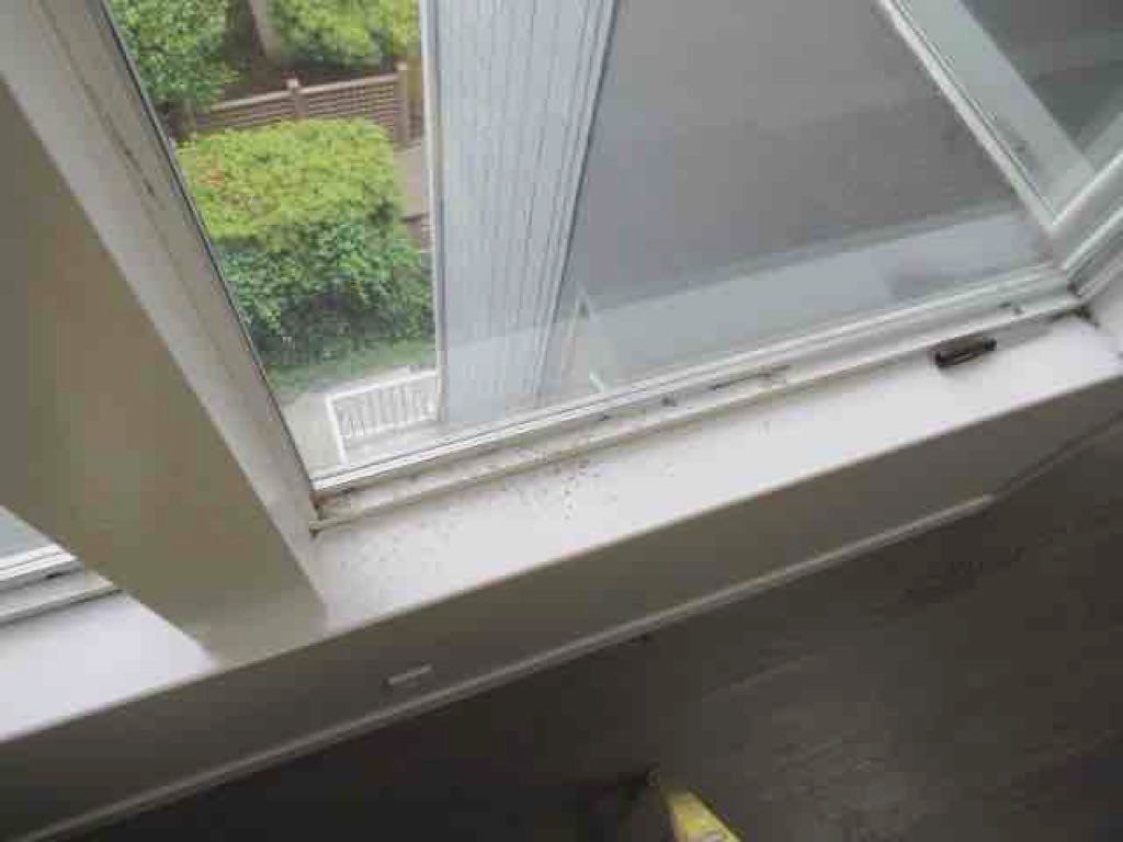 Window / envelope leakage stains / dripping down on to sill