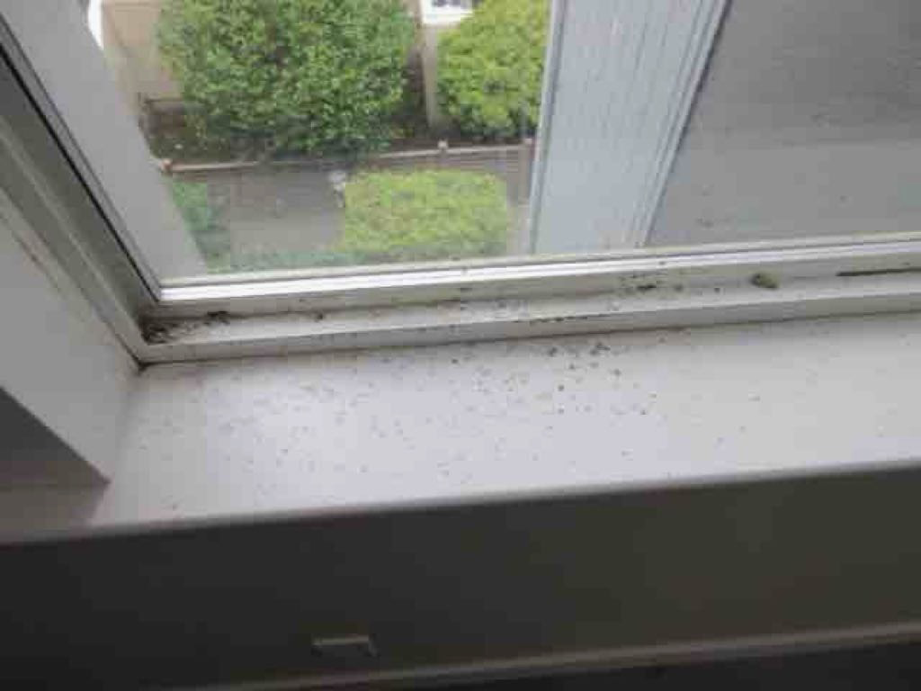 Window / envelope leakage stains / dripping down on to sill